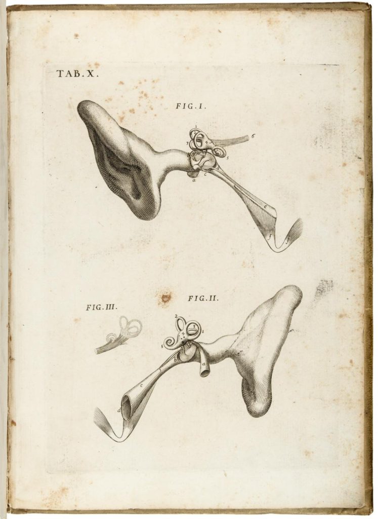 Tavola X del trattato di Valsalva sulla natura dell'orecchio